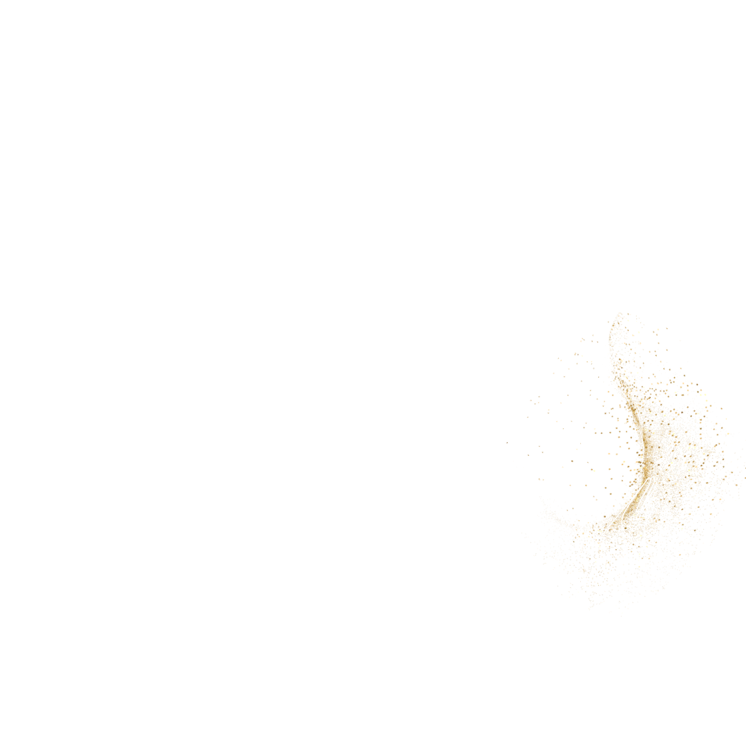 Logos Icons Steffi Sobania 5